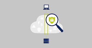 央行发行2024版第五套人民币中为何没有100元和5元?